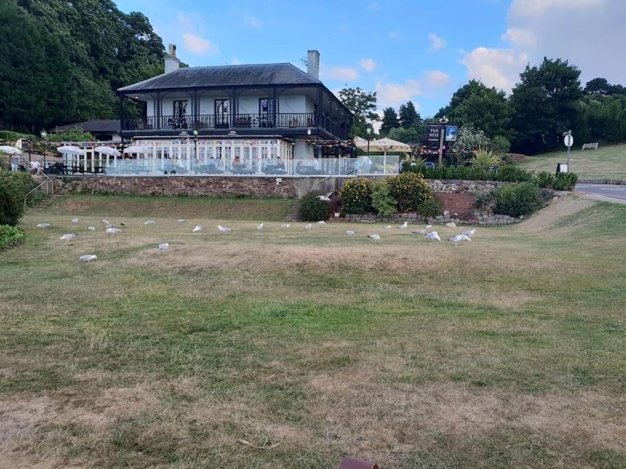Beach Retreat Village Centre Location Shaldon Extérieur photo