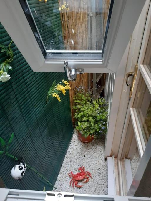 Beach Retreat Village Centre Location Shaldon Extérieur photo