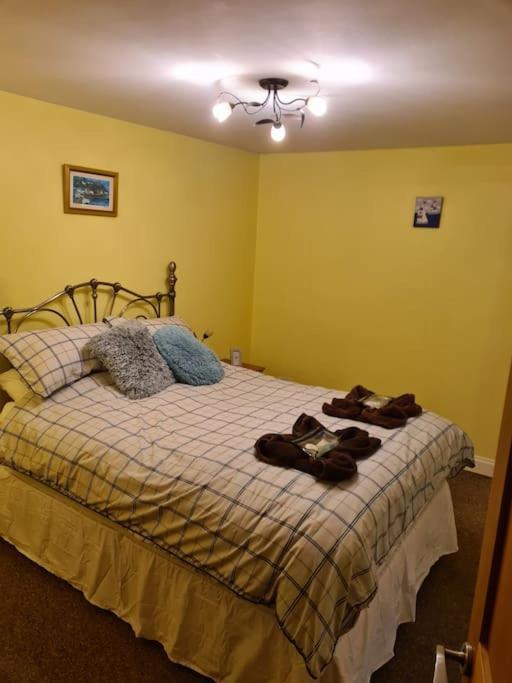 Beach Retreat Village Centre Location Shaldon Extérieur photo